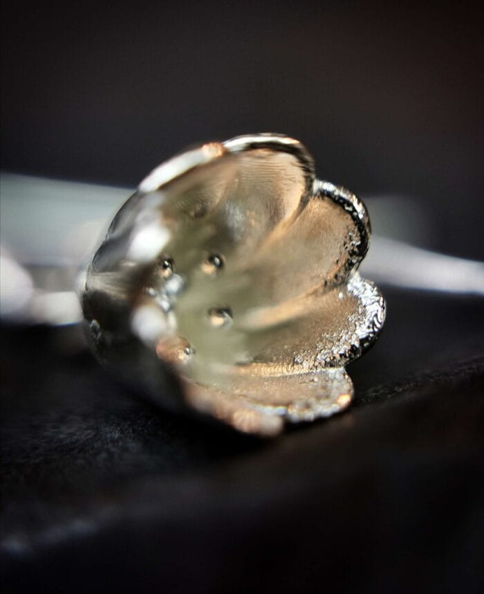 Sidabrinės tulpės – Paveikslėlis 3