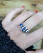 Baltijos krantai – Paveikslėlis 2