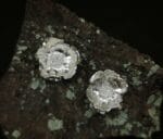 Sidabrinės plukės – Paveikslėlis 2