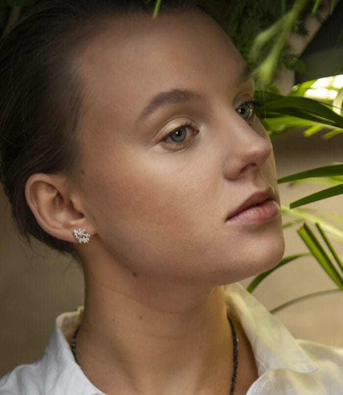 Sidabrinės kerpės – Paveikslėlis 3