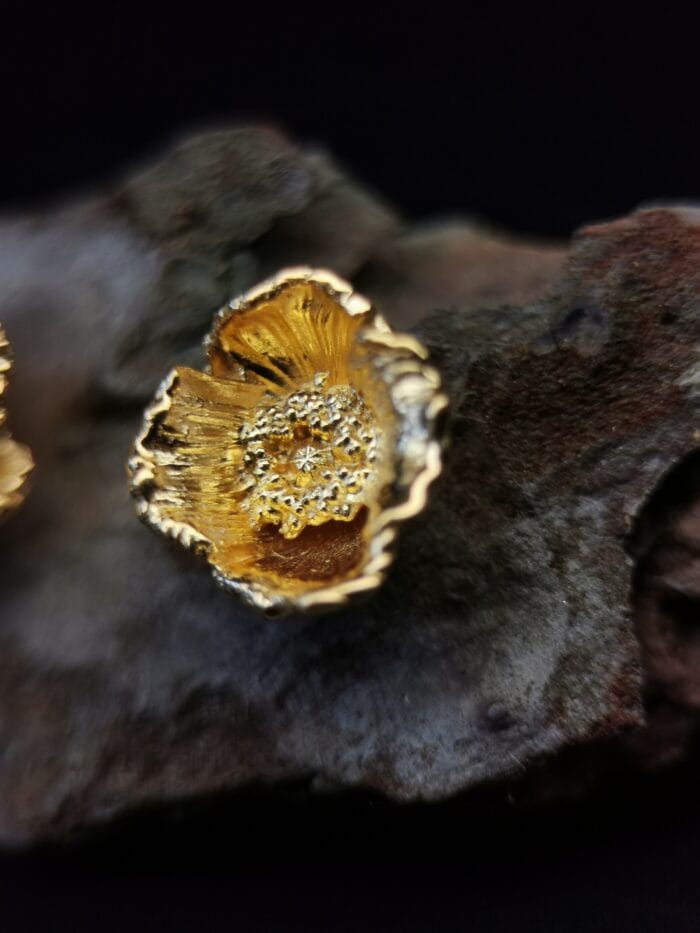 Auksuotos aguonos – Paveikslėlis 2