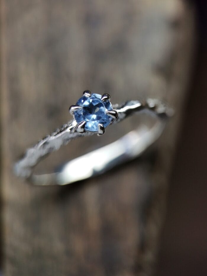 Ledo žvaigždė – Paveikslėlis 1