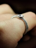 Ouroborus – Paveikslėlis 2