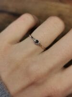 Saulės prisilietimas – Paveikslėlis 3