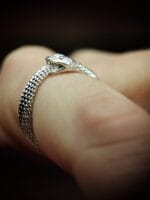 Ouroborus – Paveikslėlis 4