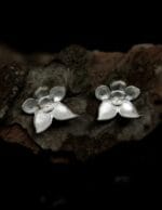 Sidabrinės orchidėjos