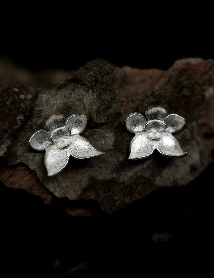 Sidabrinės orchidėjos – Paveikslėlis 1