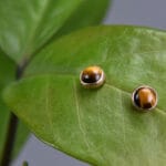 Tigro akies auskarai