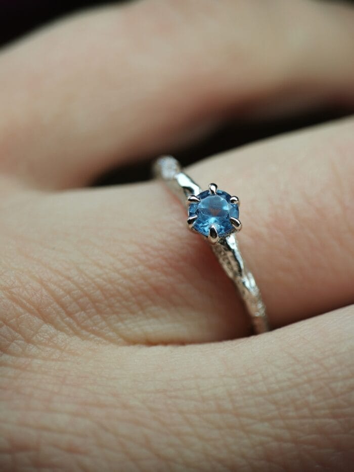 Ledo žvaigždė – Paveikslėlis 2