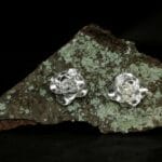 Sidabrinės kamelijos