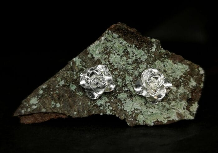 0649fc_845d054f534e4c7c97b26083ad4b3662mv2.jpg Sidabrinės kamelijos – Paveikslėlis 1