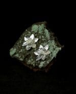 Sidabriniai narcizai – Paveikslėlis 3