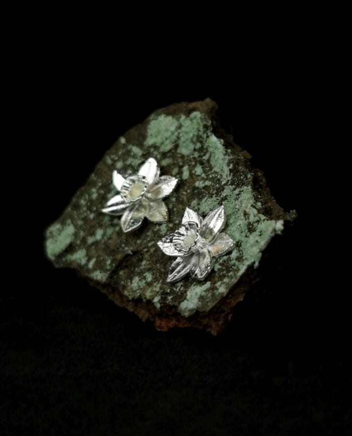 Sidabriniai narcizai – Paveikslėlis 3