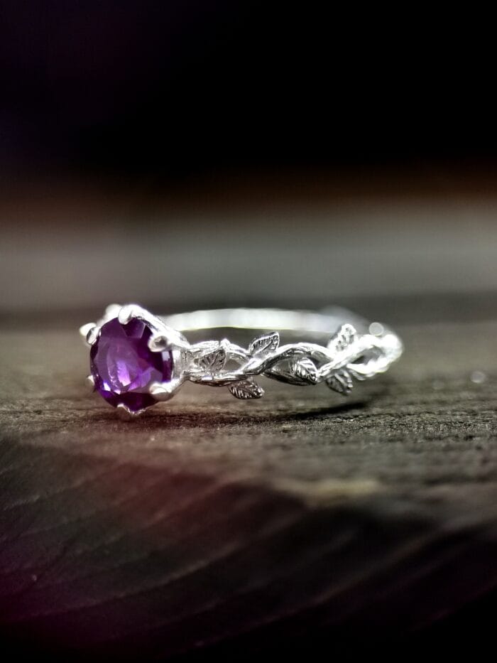 Rosa Obscura – Paveikslėlis 2