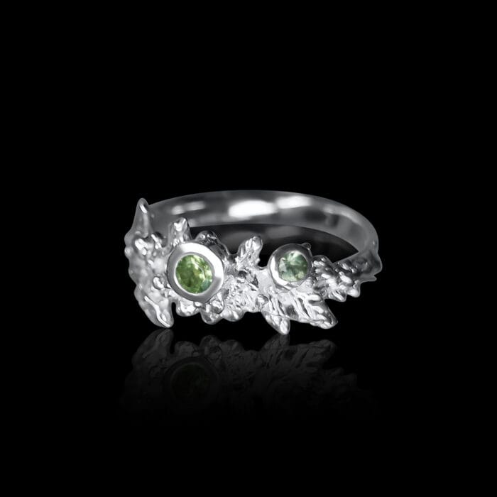 Žalioji paslaptis – Paveikslėlis 1