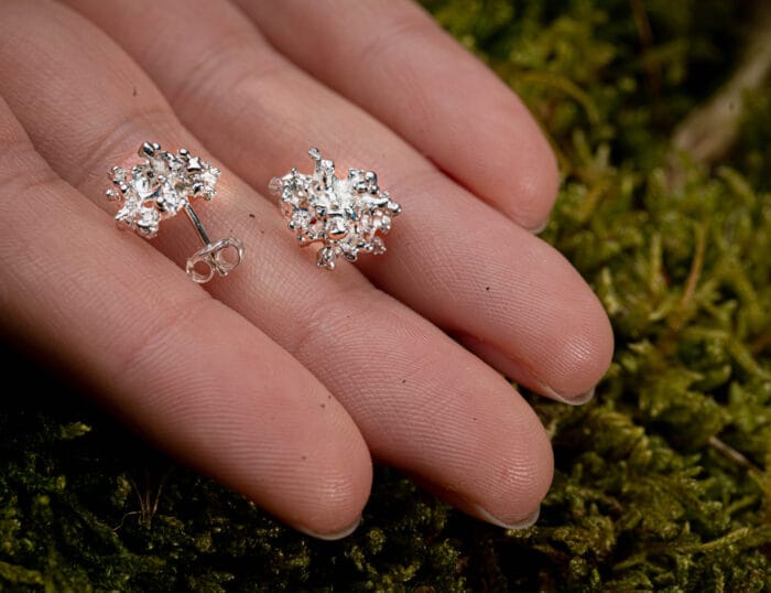 Sidabrinės kerpės – Paveikslėlis 2