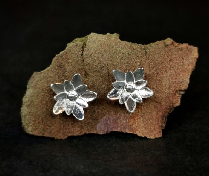 Sidabrinės vandens lelijos – Paveikslėlis 1