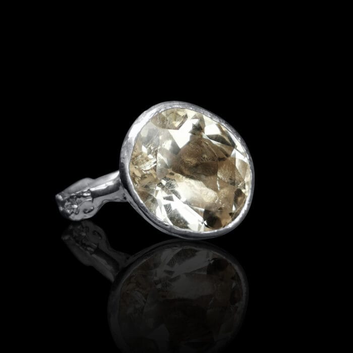 Blyški šviesa – Paveikslėlis 1