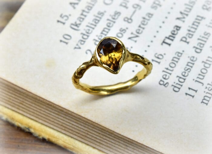 Žiedas Saulėgrįža – Paveikslėlis 2