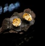 Auksuotos aguonos – Paveikslėlis 3