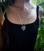 Žvaigždžių uoga – Paveikslėlis 2