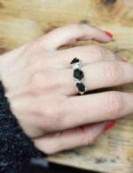 Kosmine kelionė – Paveikslėlis 2