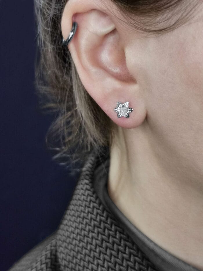 Sidabrinės lelijos – Paveikslėlis 3