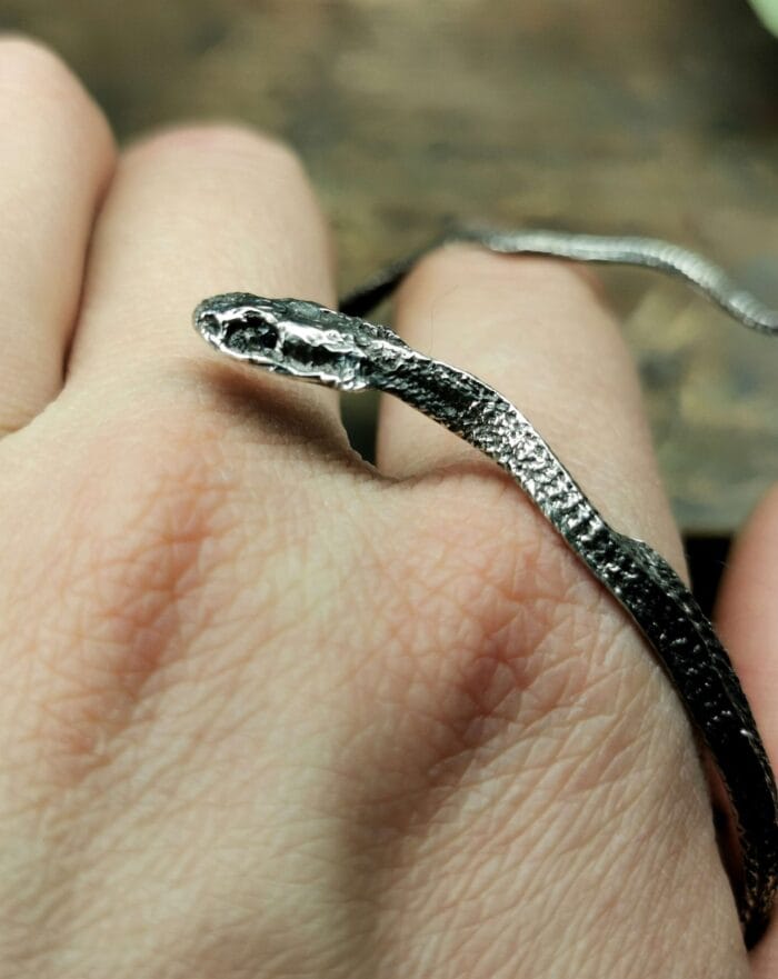 Žalčio apyrankė – Paveikslėlis 3