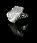 Arktis – Paveikslėlis 4