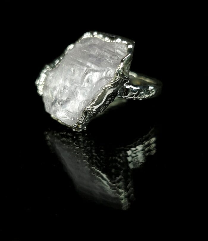 Arktis – Paveikslėlis 4