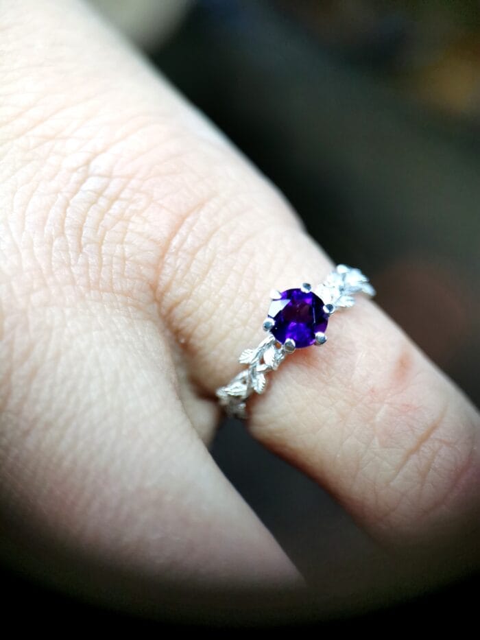 Rosa Obscura – Paveikslėlis 3