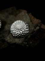 Sidabriniai jurginai – Paveikslėlis 4