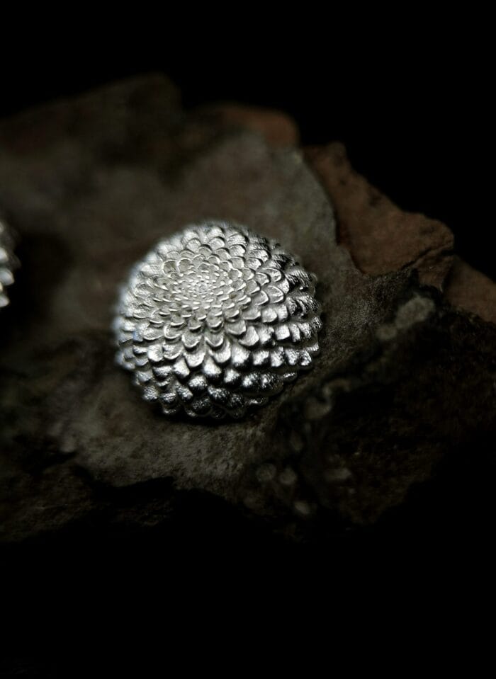 Sidabriniai jurginai – Paveikslėlis 4