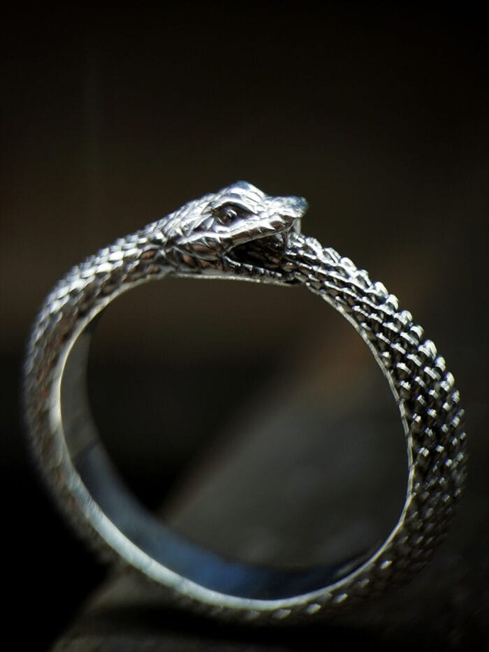 Ouroborus – Paveikslėlis 3