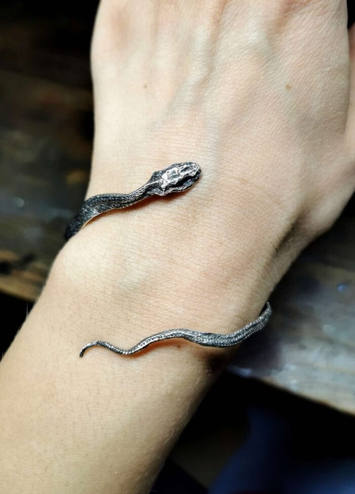 Žalčio apyrankė – Paveikslėlis 13