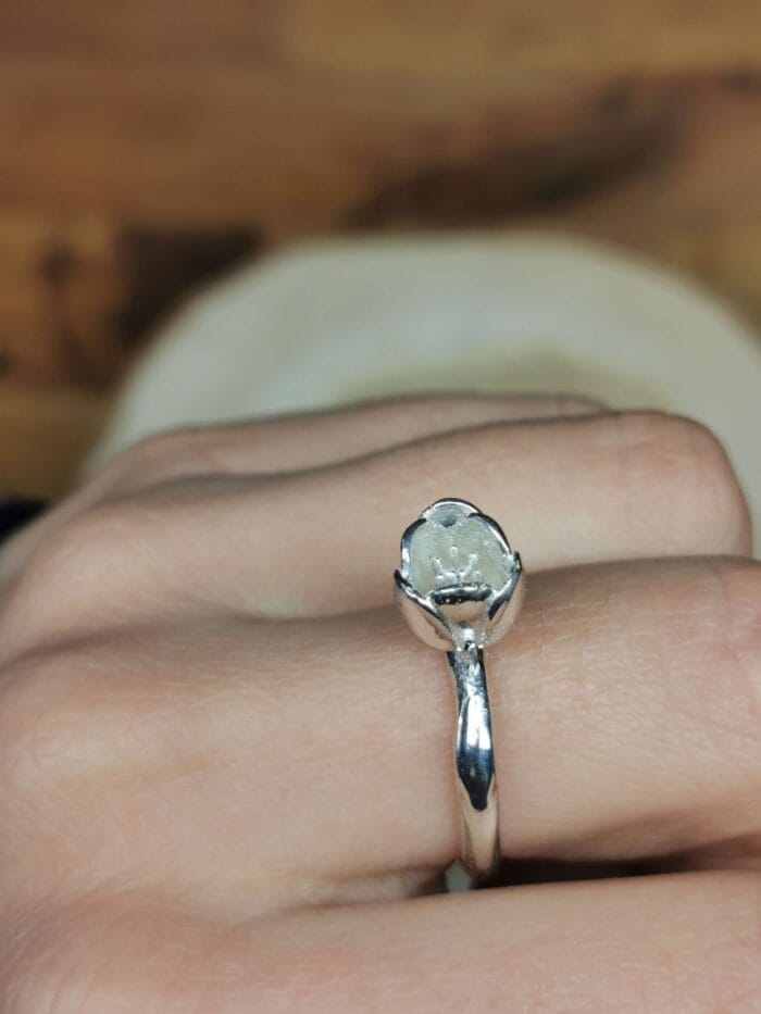 Žiedas žiedas – Paveikslėlis 3