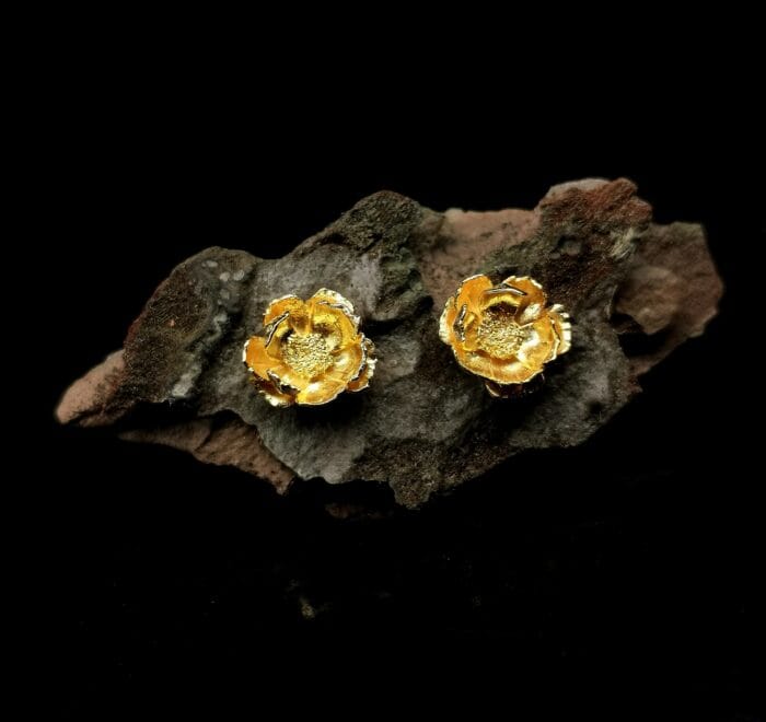 Auksuotos plukės – Paveikslėlis 2