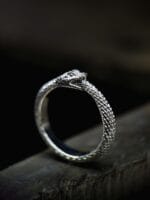 Ouroborus – Paveikslėlis 6