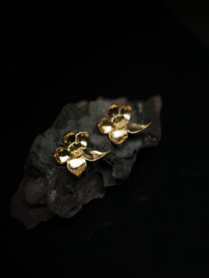 Auksuotos orchidėjos – Paveikslėlis 3