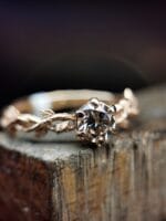 Rytmečio šviesa – Paveikslėlis 2