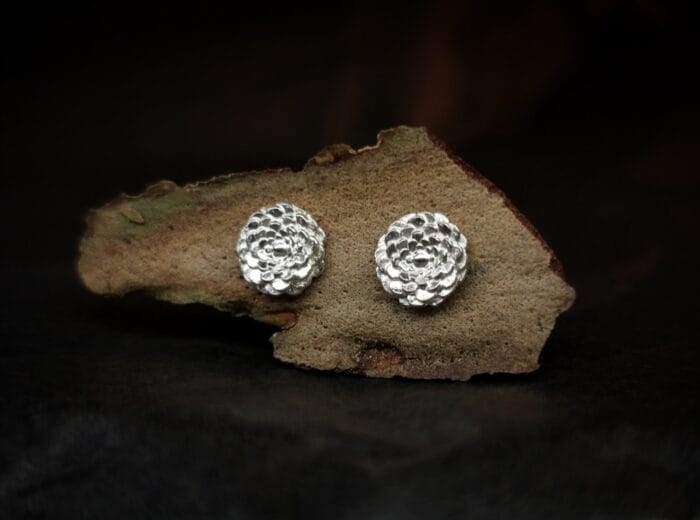 Sidabriniai jurginai – Paveikslėlis 1