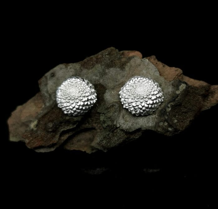 Sidabriniai jurginai – Paveikslėlis 2