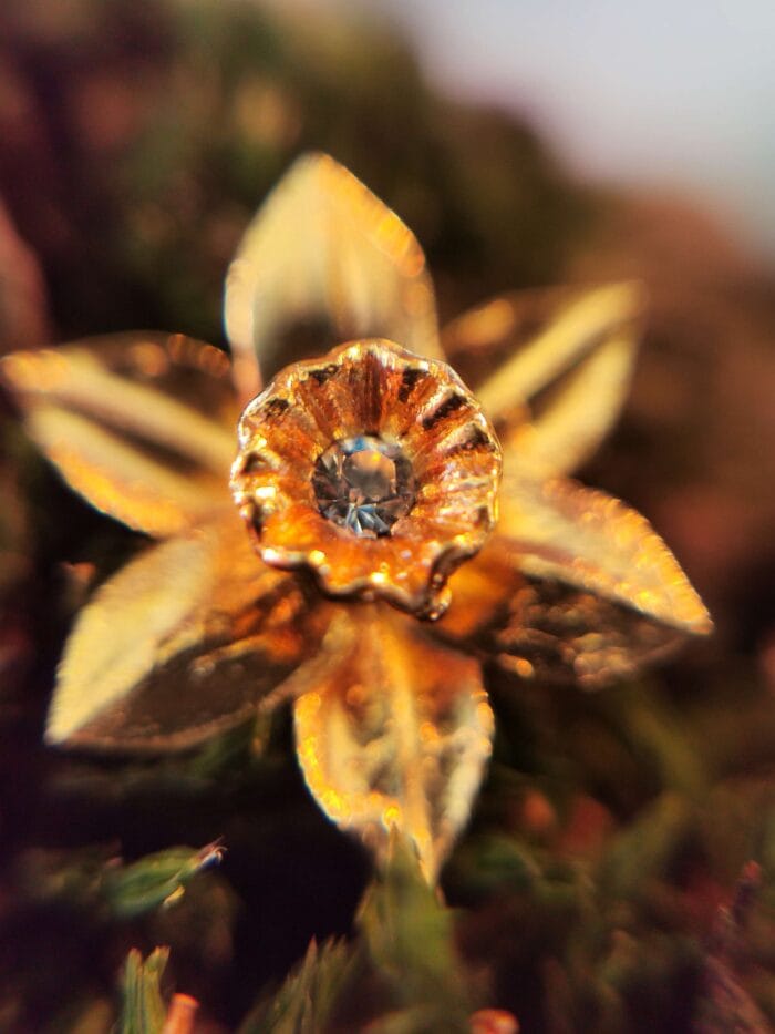 Auksuoti narcizai – Paveikslėlis 2