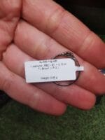 Saulės prisilietimas – Paveikslėlis 4