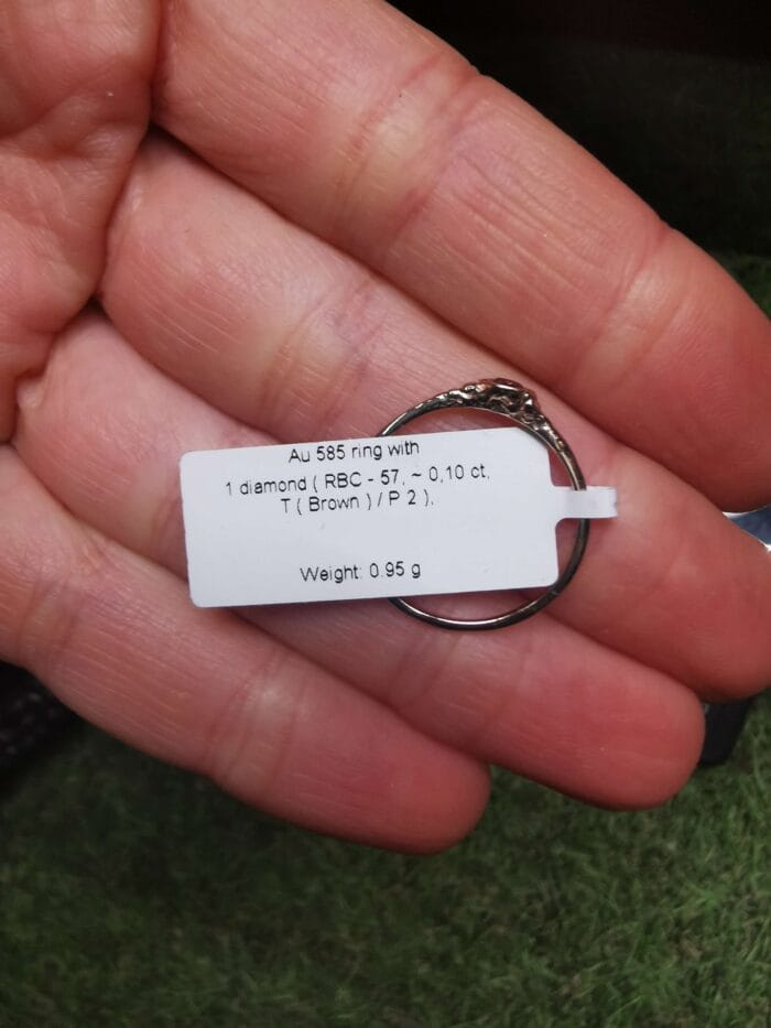 Saulės prisilietimas – Paveikslėlis 4