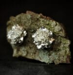 Sidabriniai gvazdikai