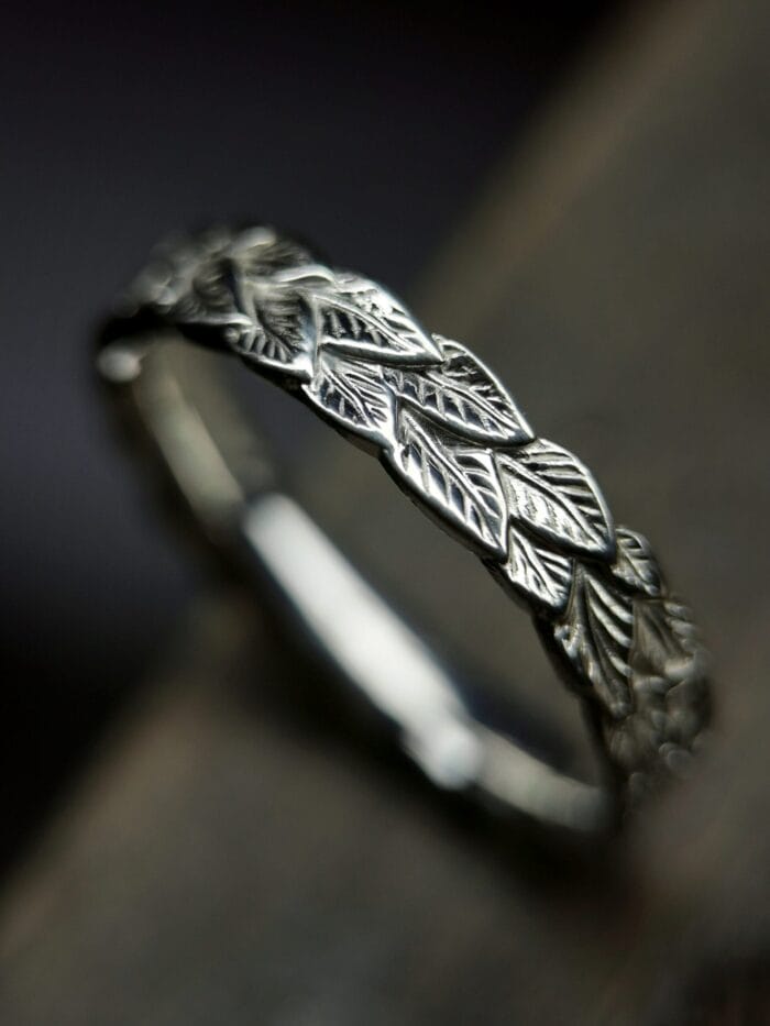 Augimas – Paveikslėlis 1