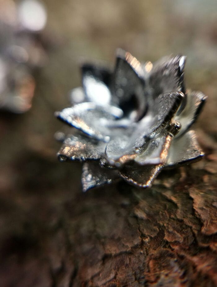 Sidabriniai lotusai – Paveikslėlis 2