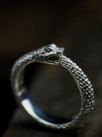 Ouroborus – Paveikslėlis 5