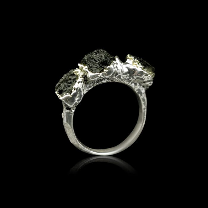 Kosmine kelionė – Paveikslėlis 1